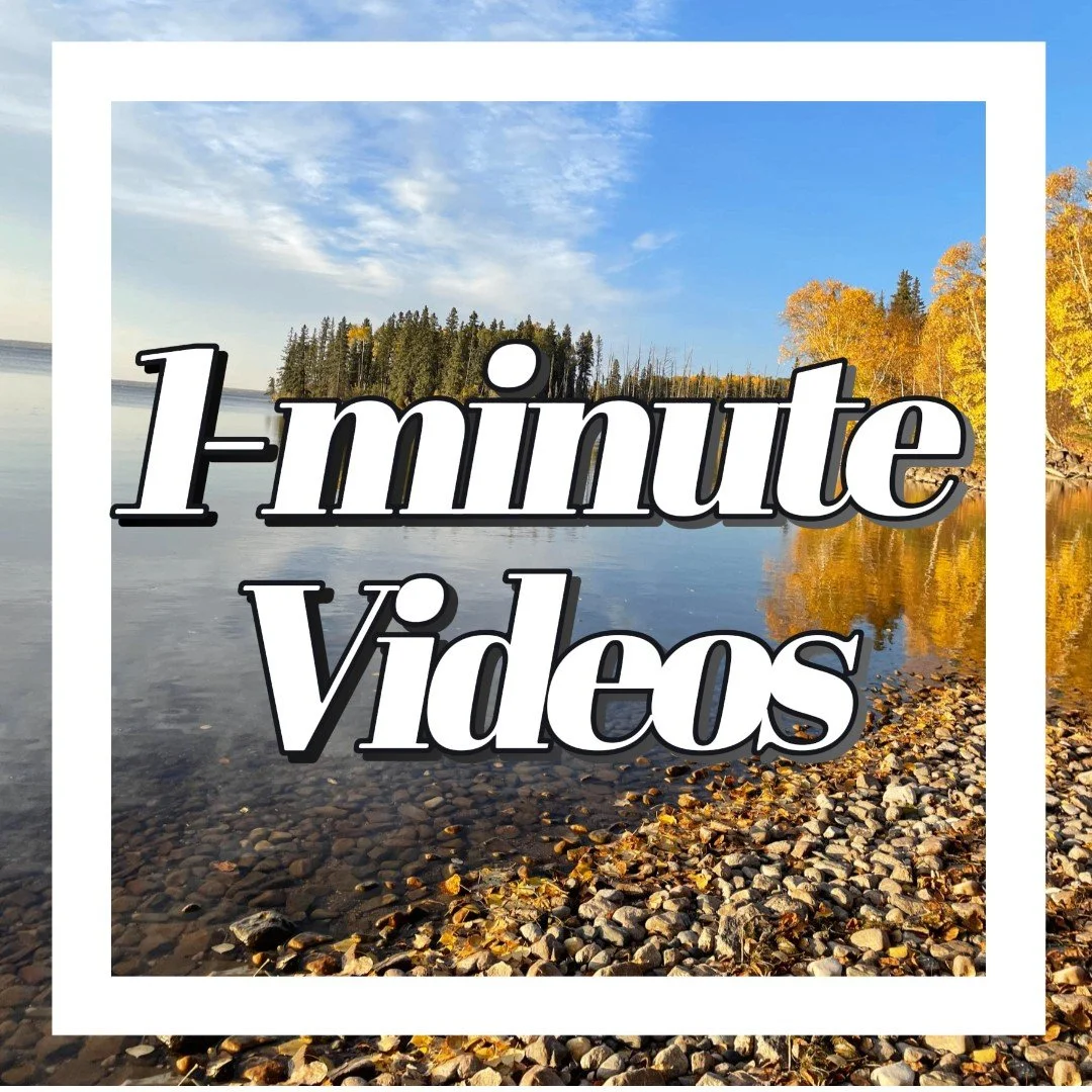 Untitled image (85).jpeg