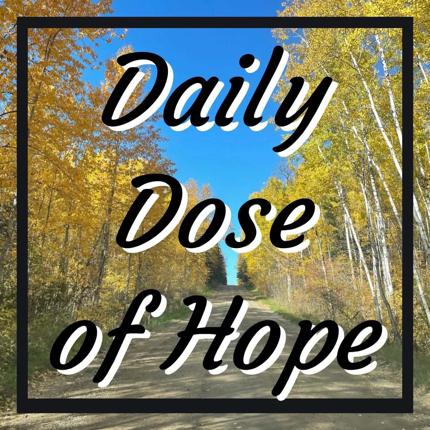 Deck 1 Front (2).jpeg