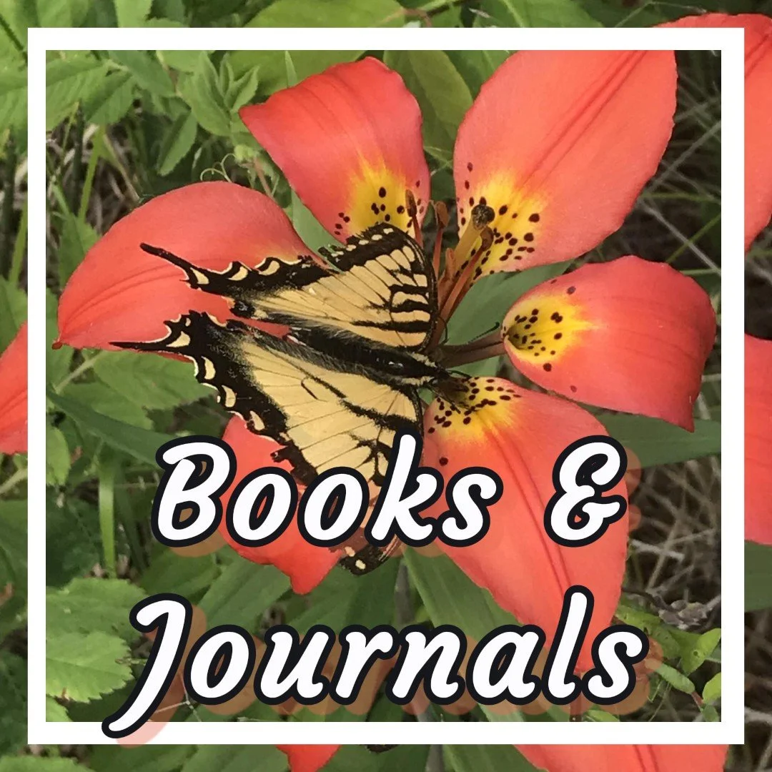 Untitled image (6).jpeg