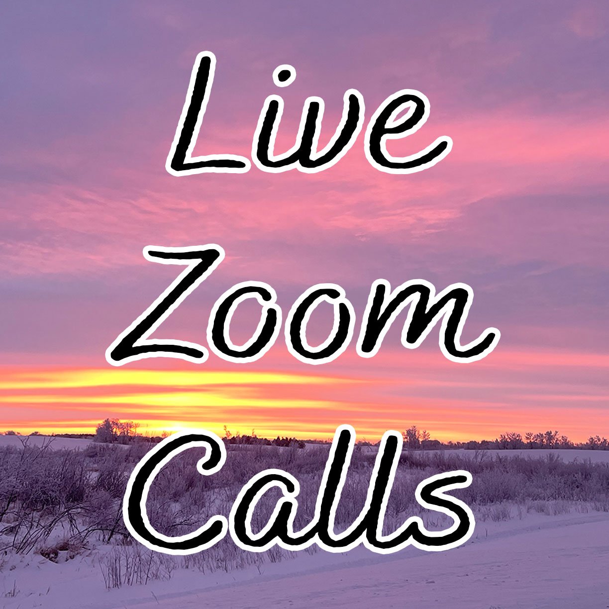 zoom calls.jpeg