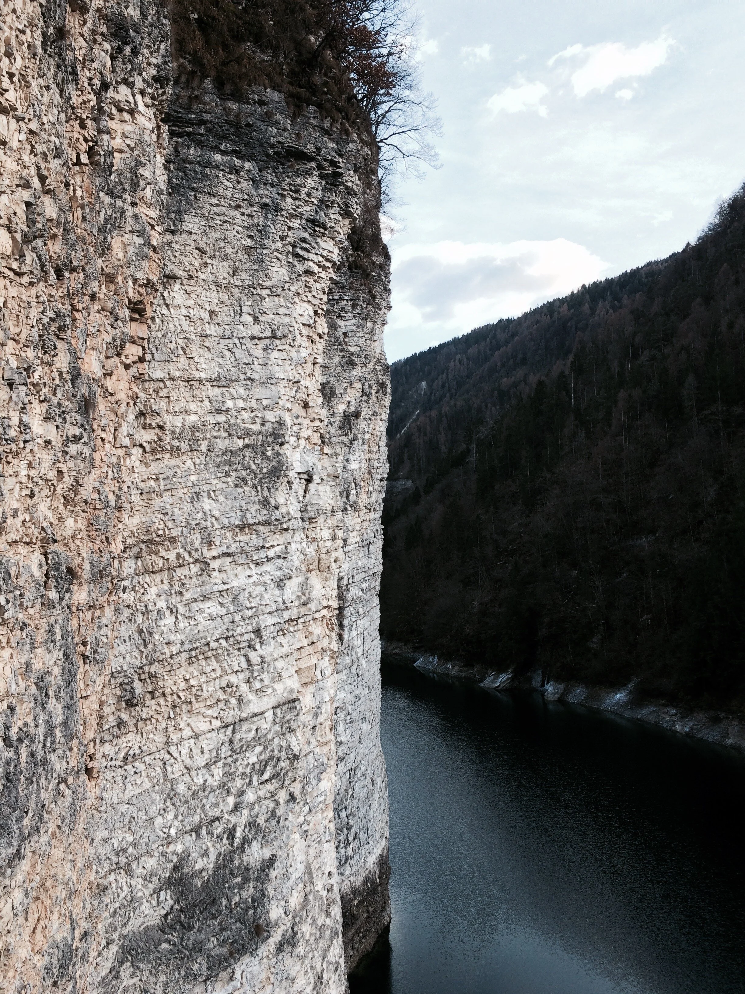 Ten Thousand Houses: Two Views of the Blue Cliff Record