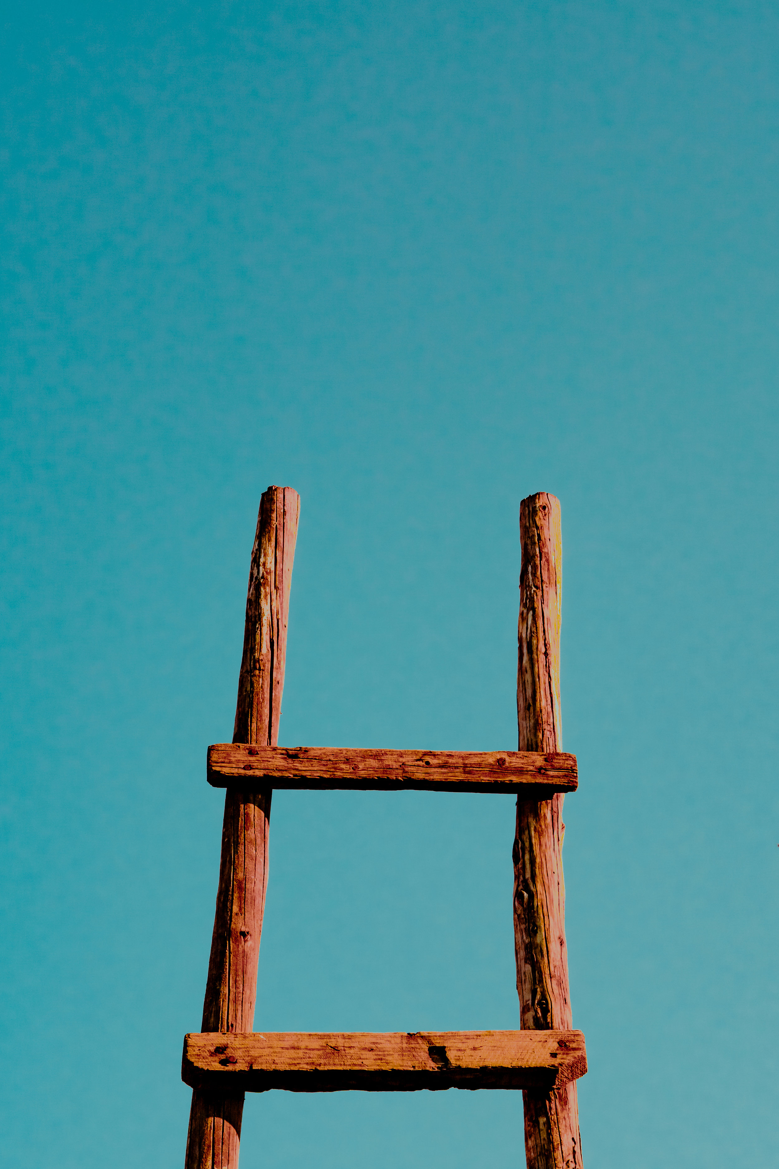 Where All Ladders Start