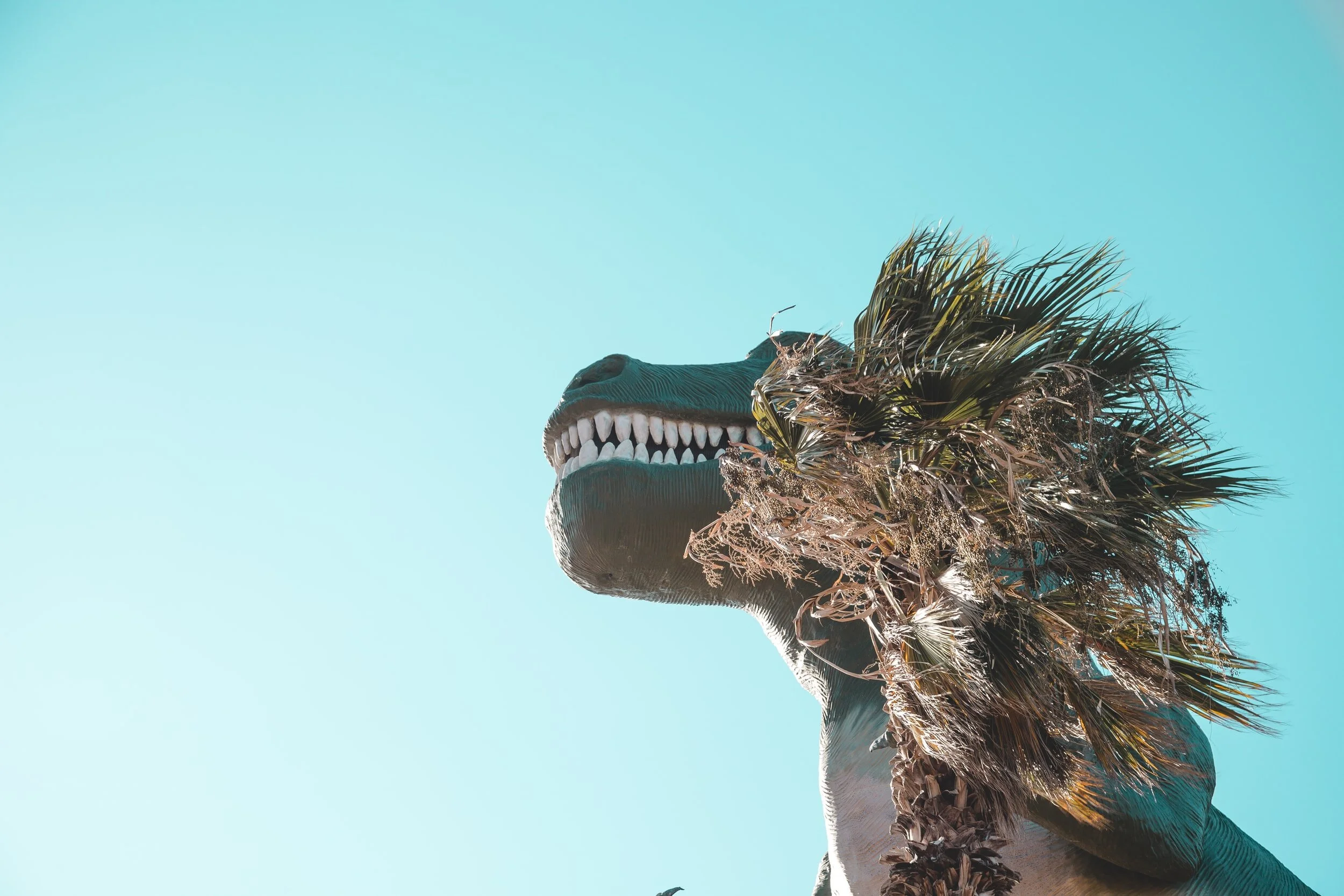 Dinosaurs on the Roof