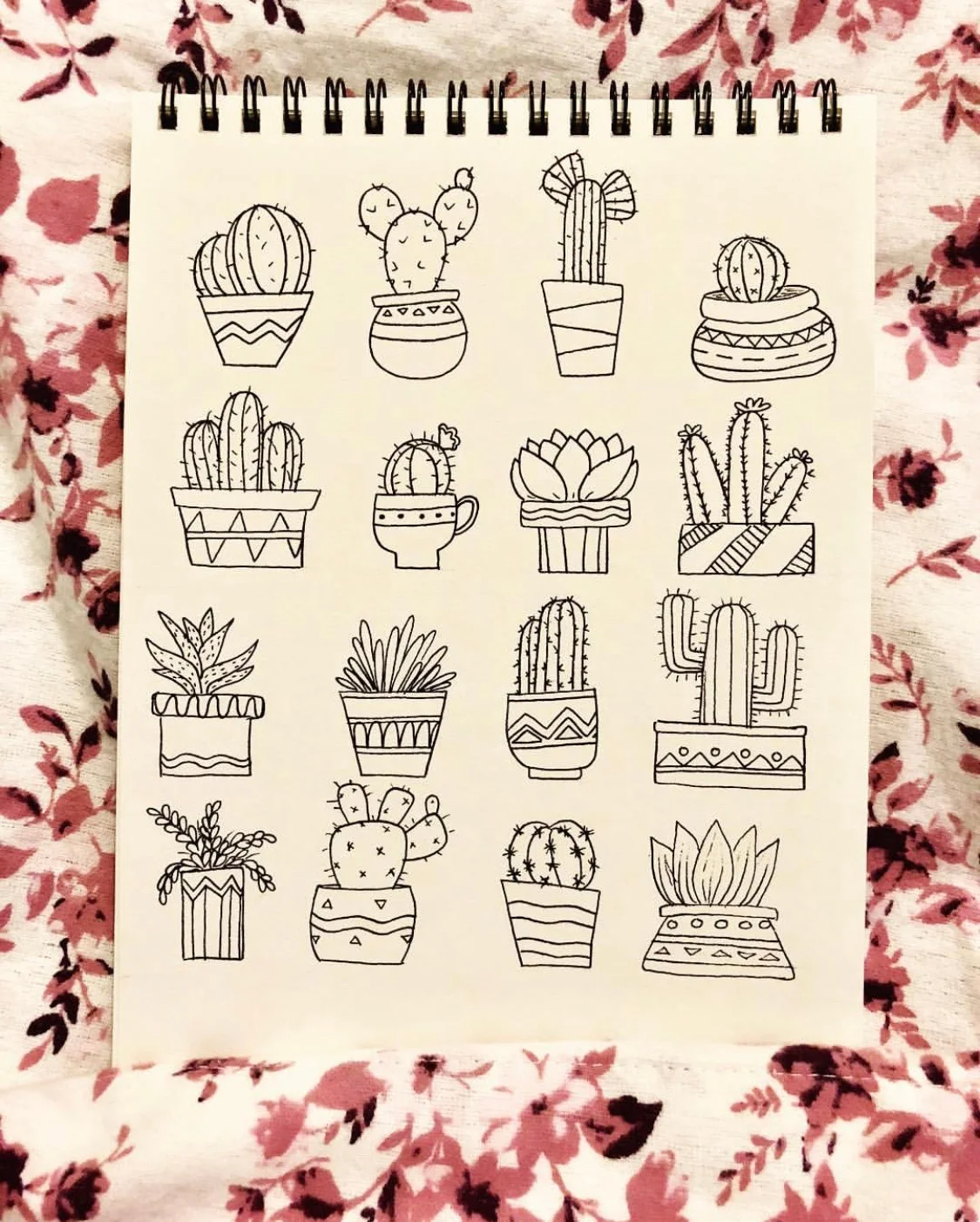 Cacti is a girls best friend