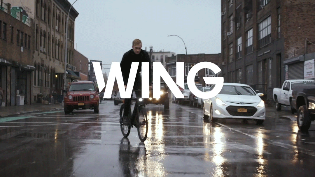 WING_01.gif