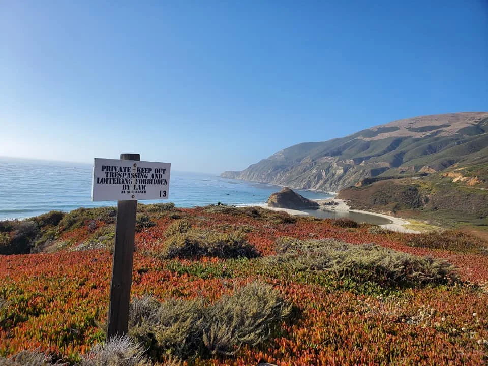 big sur-5.jpg