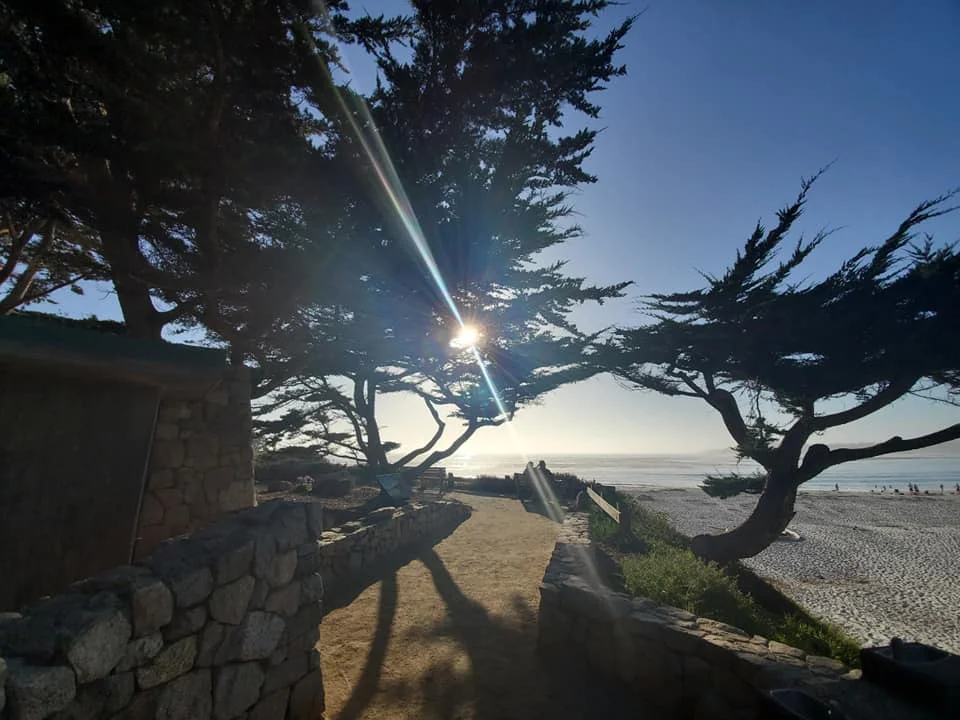 carmel-1.jpg