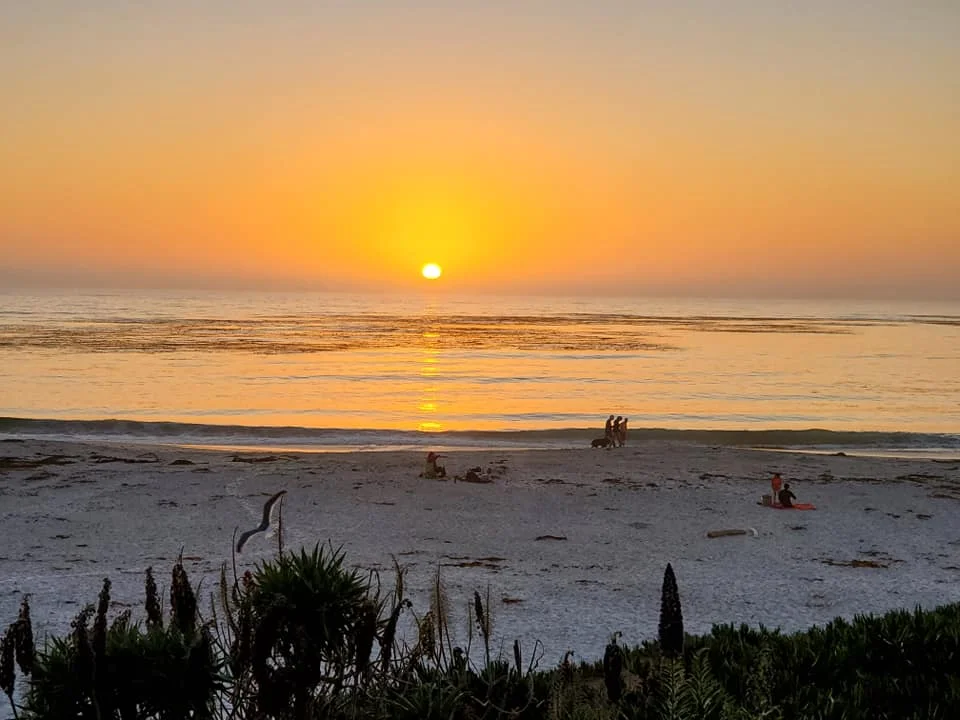 carmel-6.jpg