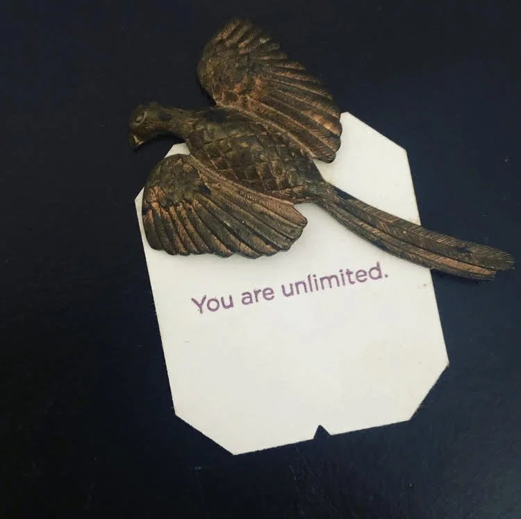 What 2025 Couldn't Break 