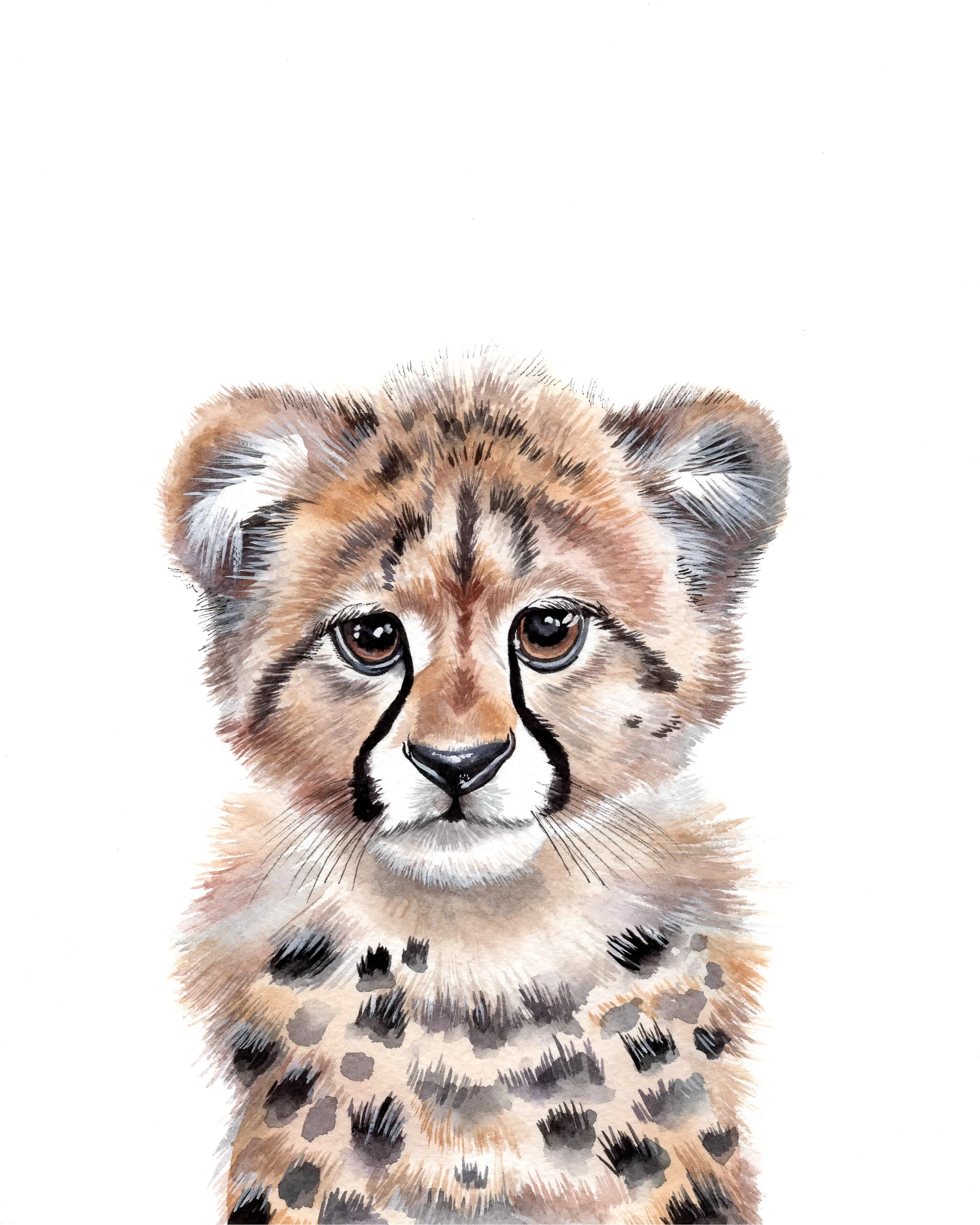 Cheetah_final.jpg