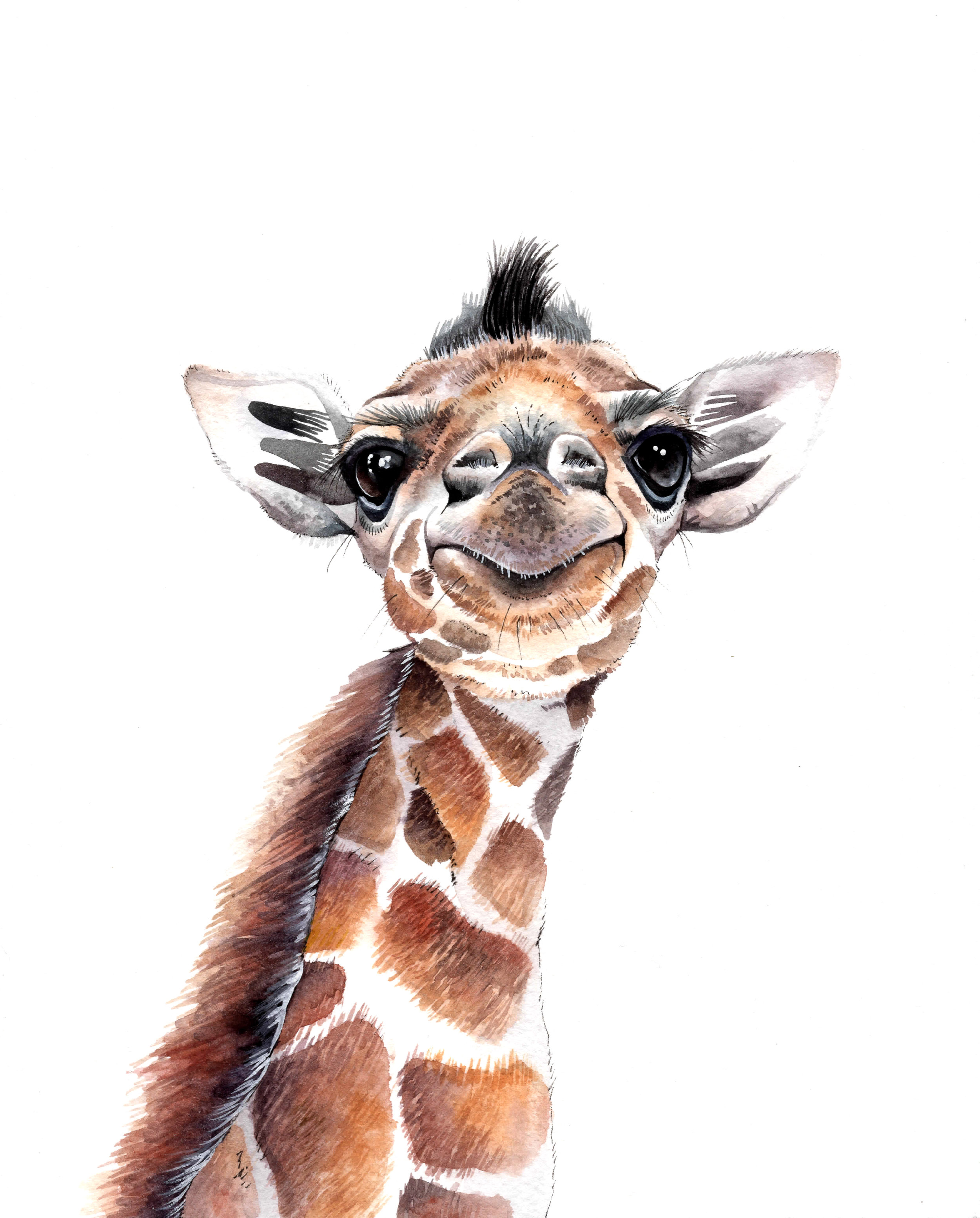 Baby Giraffe Nursery Wall Art By Emily Lemoine Baby Giraffe Nursery Wall Art By