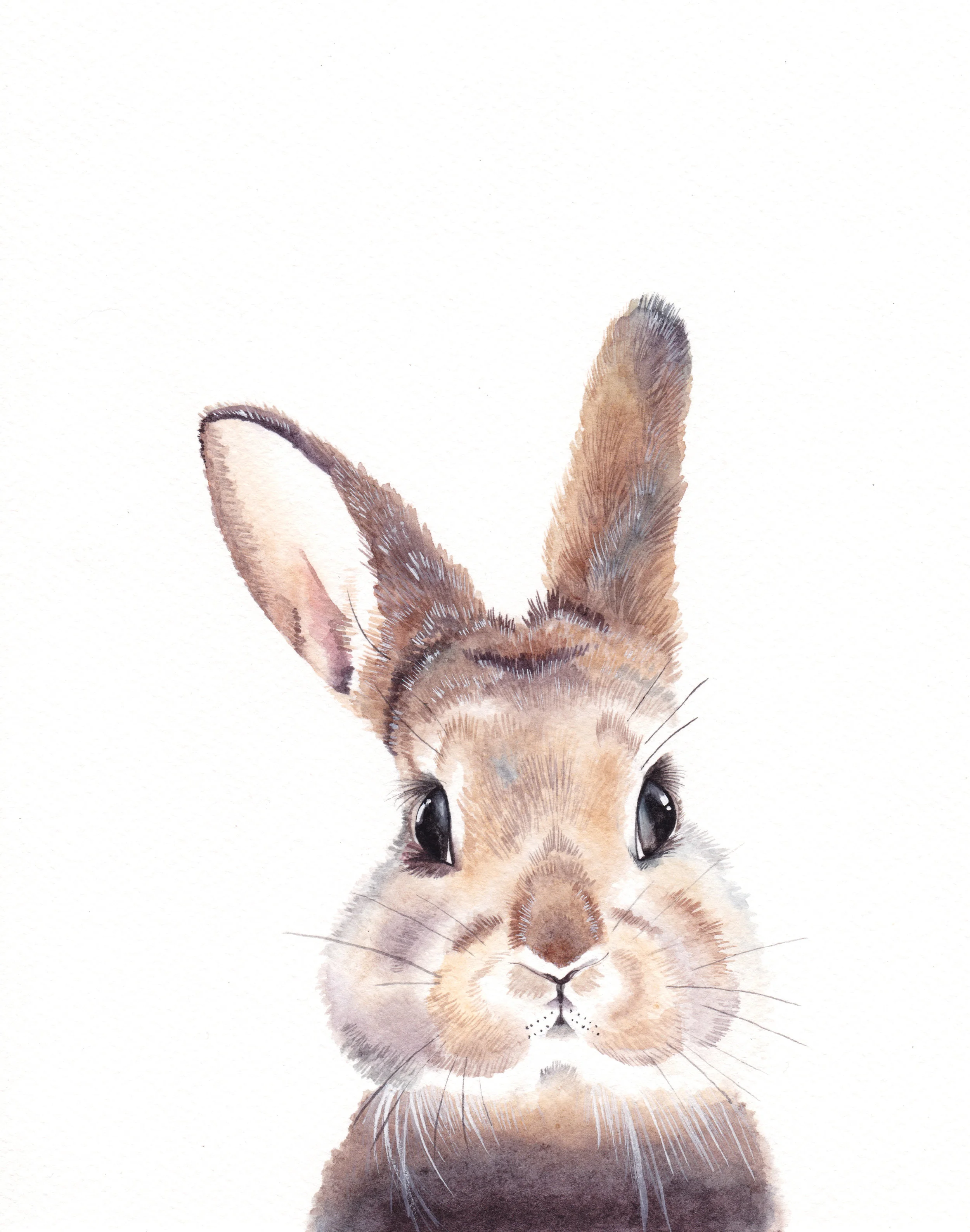 bunny.jpg