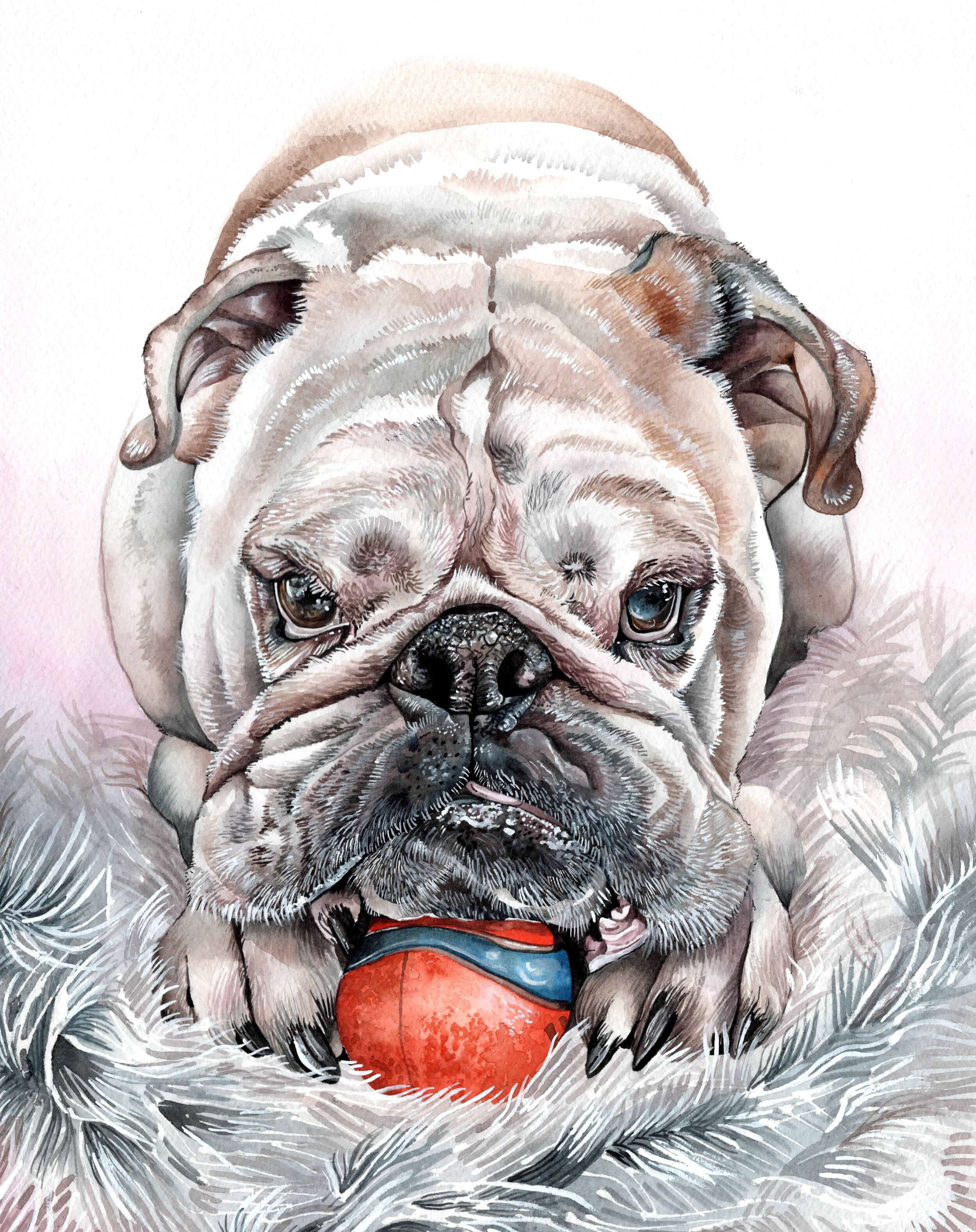 British bulldog Watercolor portrait