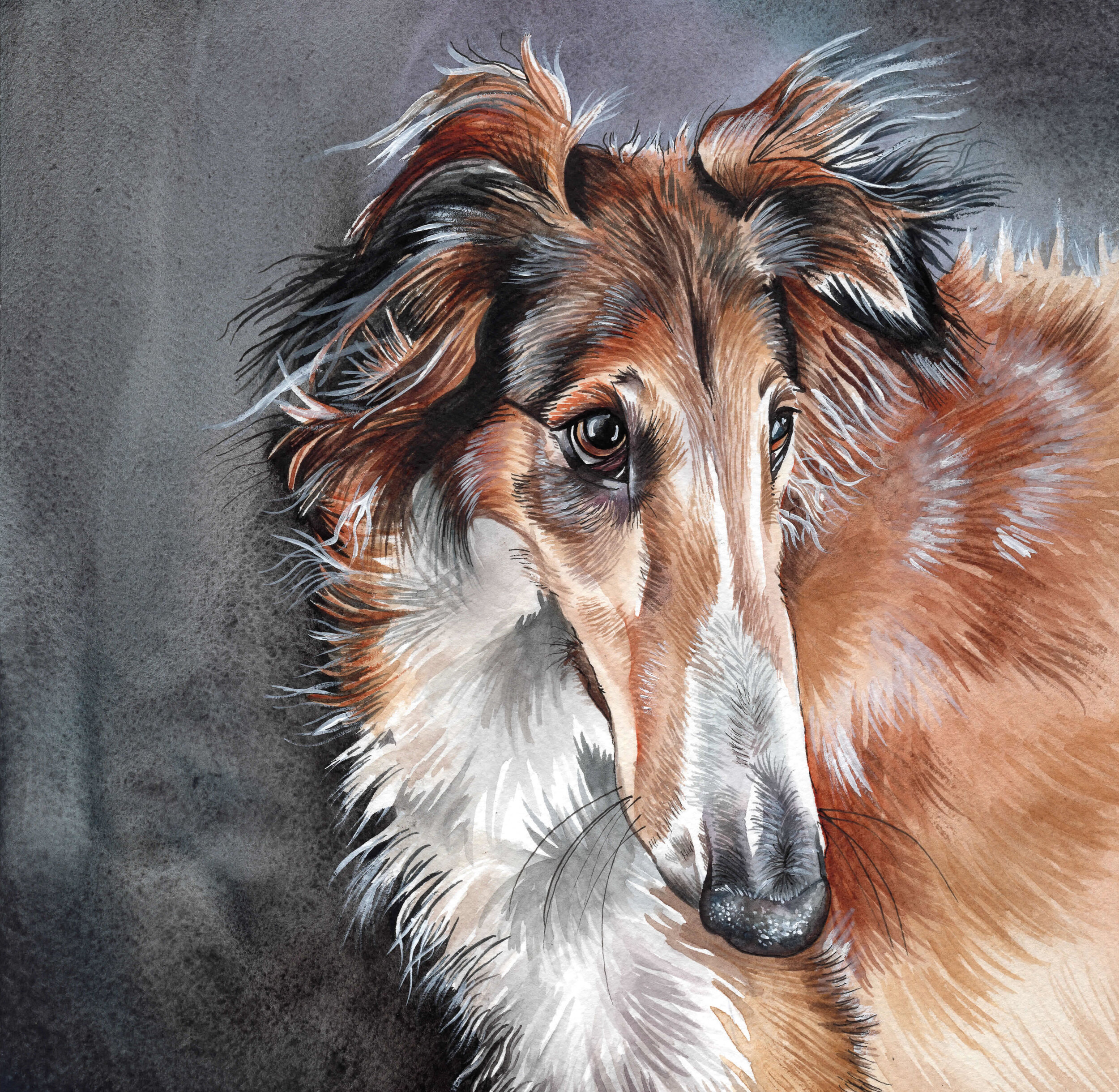 Borzoi Pet Portrait