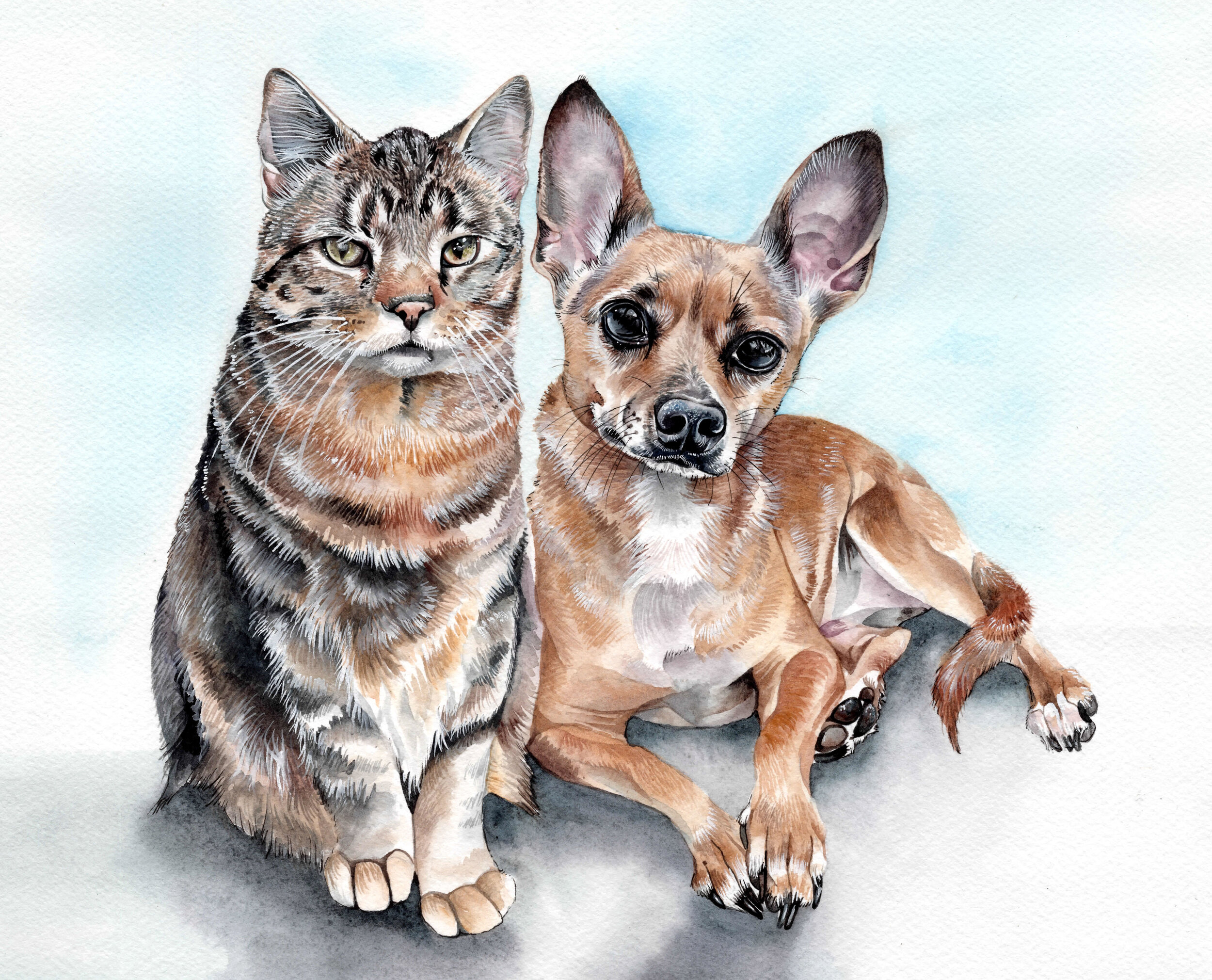 Cats and Dogs Pet Siblings Portrait