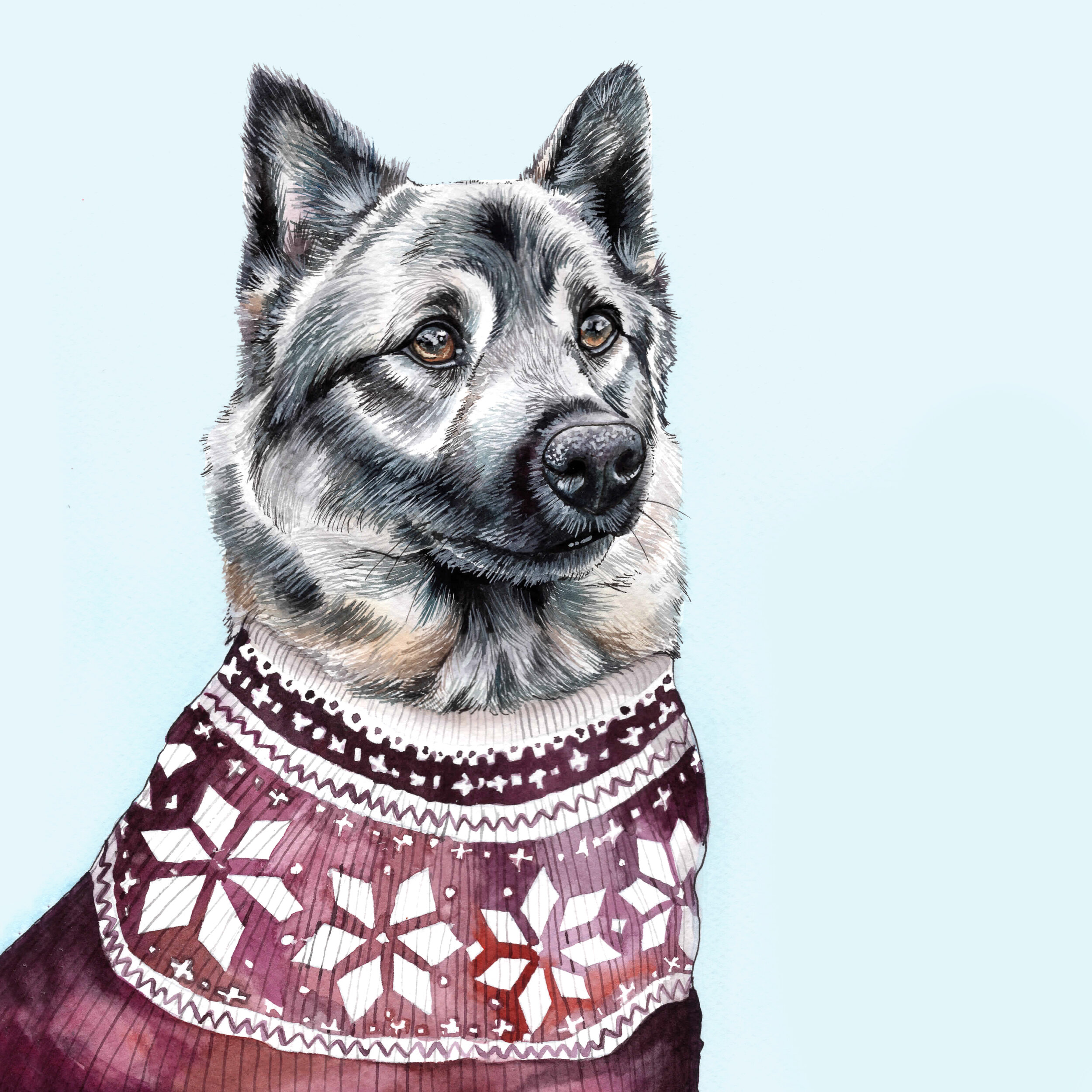 Nordic Elkhound In Sweater