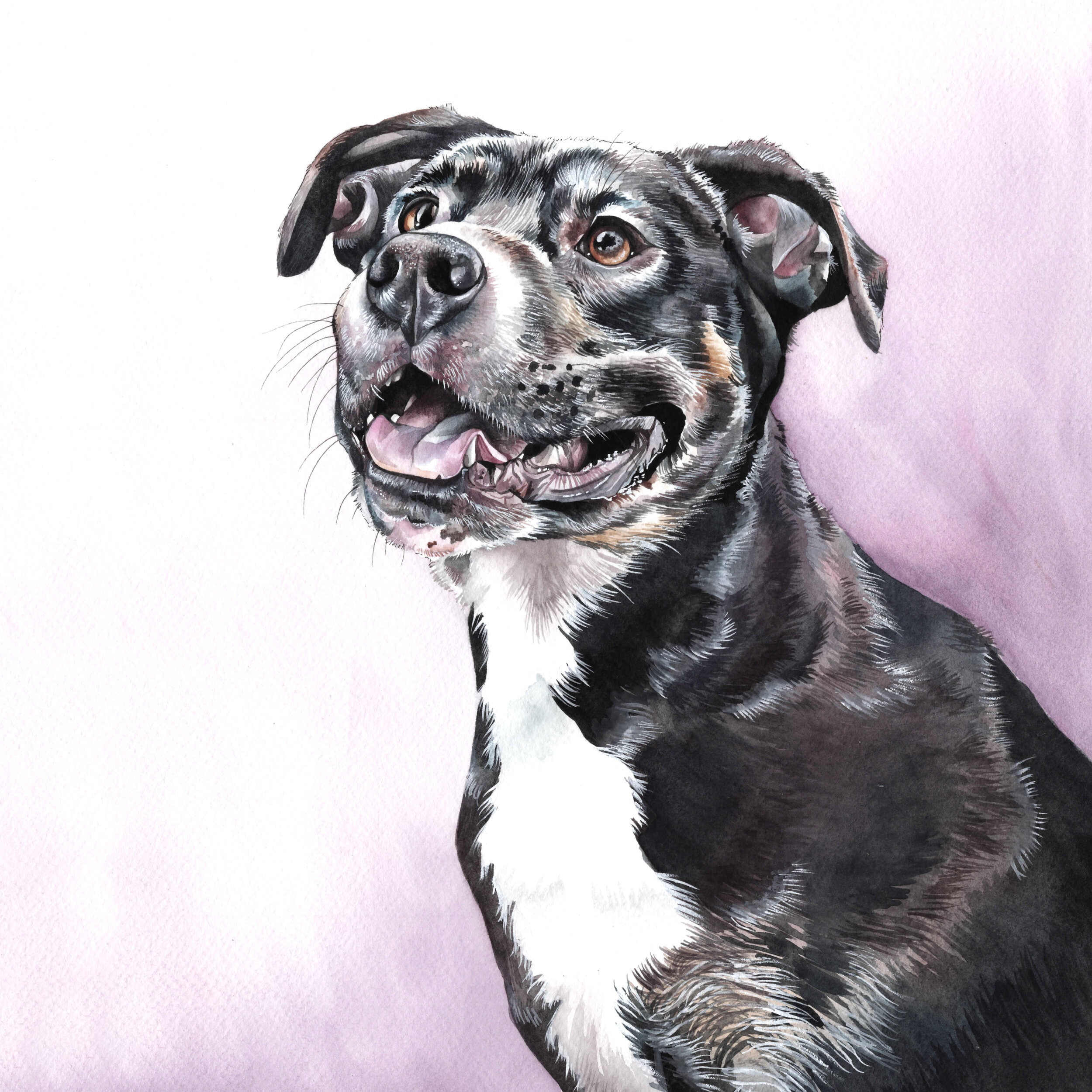 Bull Breed Pet Painting