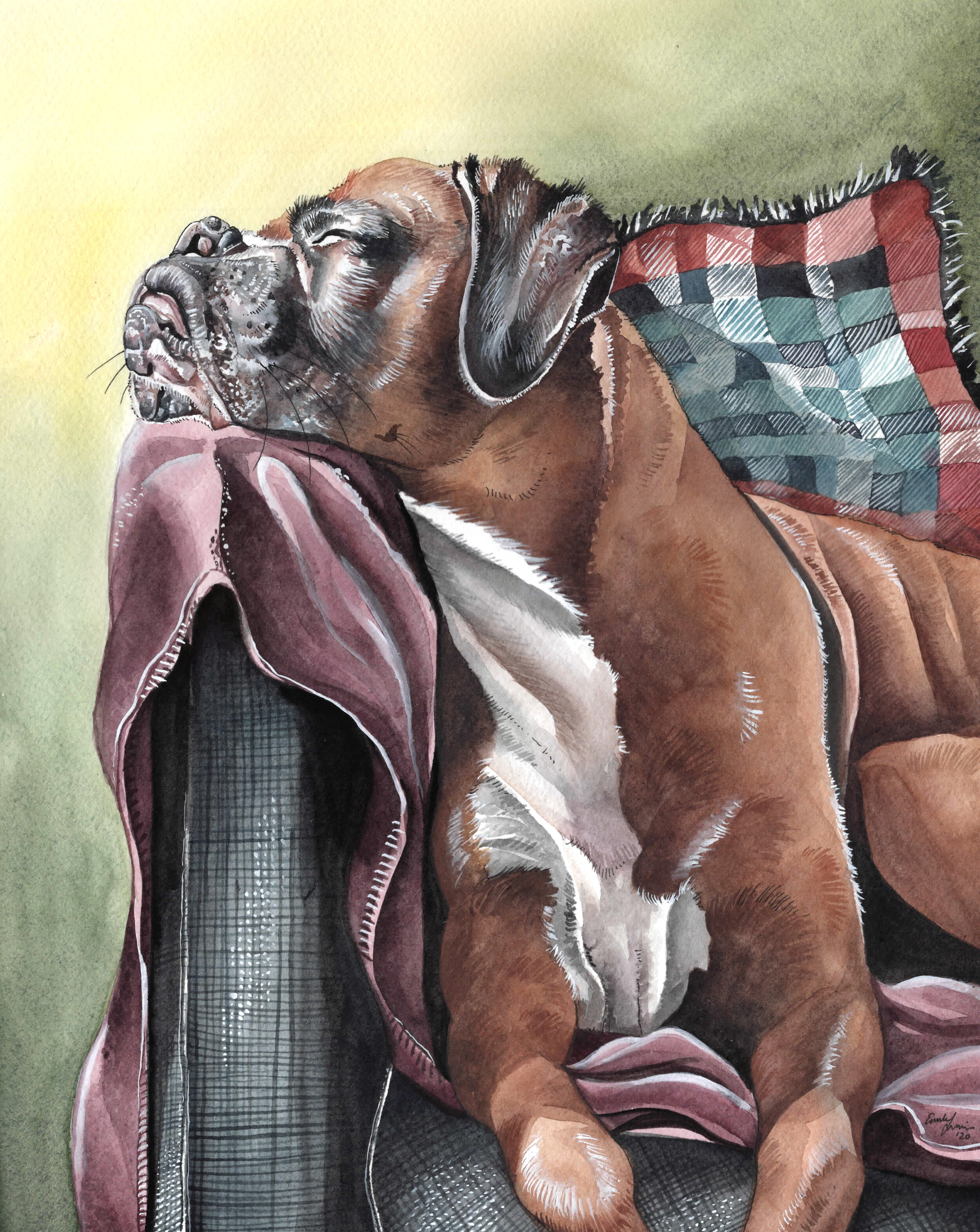 Sleeping Boxer Dog Watercolor Portrait