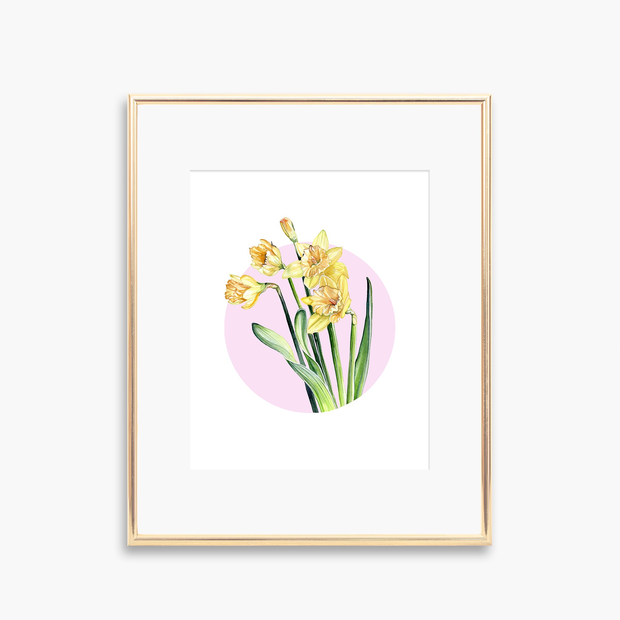 Daffodil Watercolour Art Print