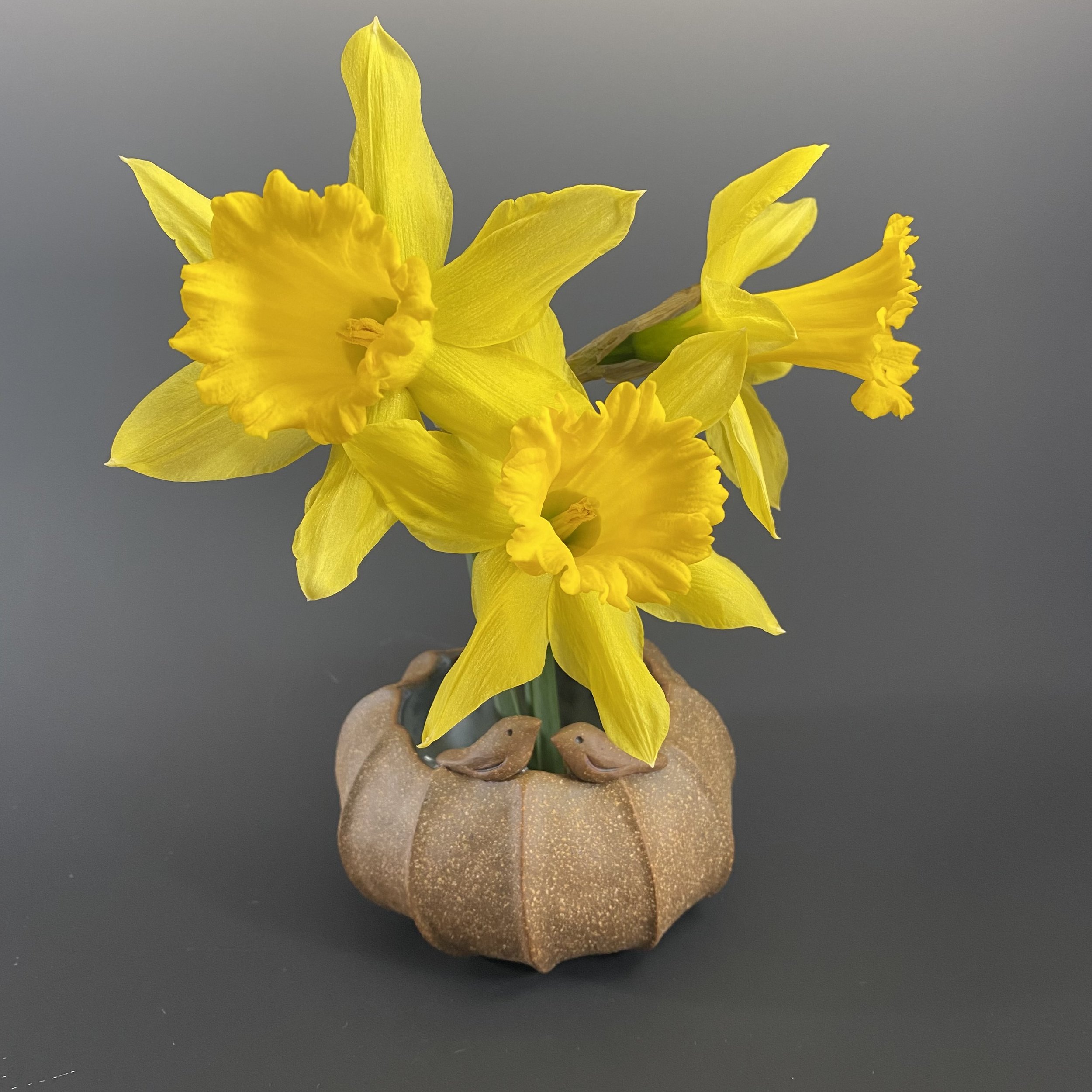 Barbara Walch daffodils.jpg