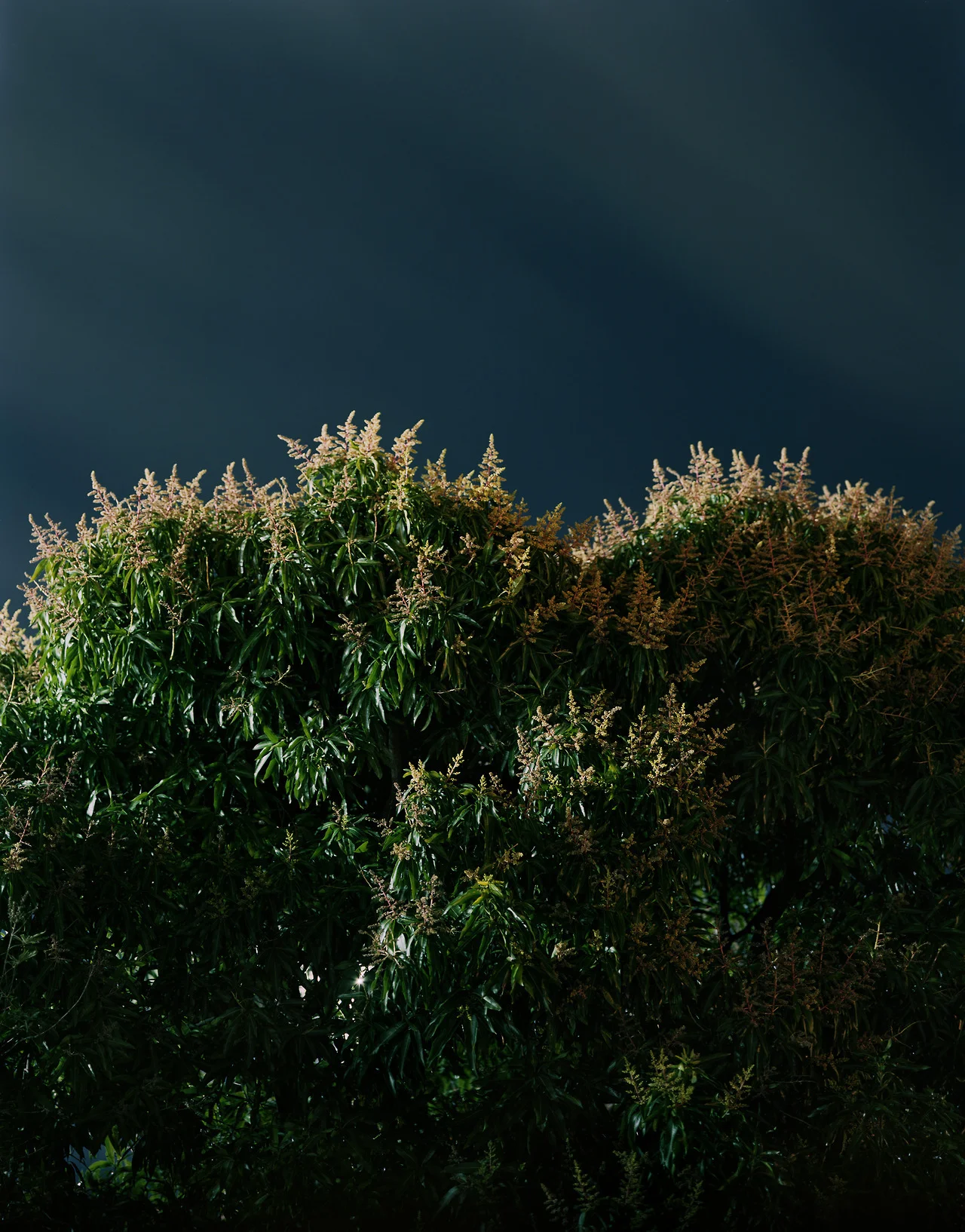 tumblr_ongg2u9BY41qa4iw3o1_1280.jpg
