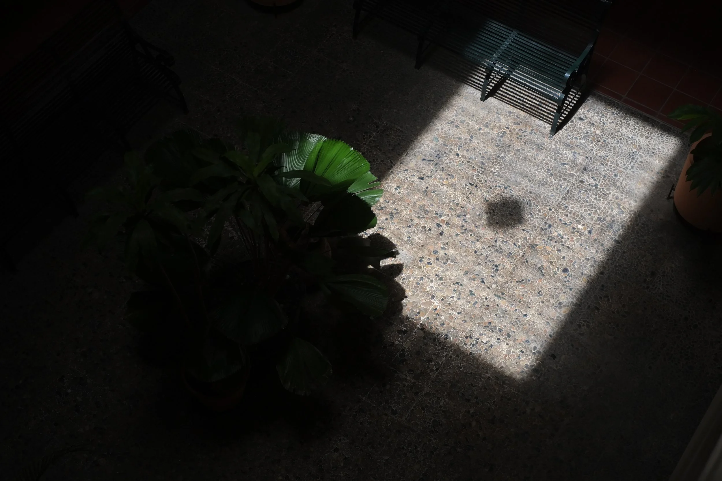 DSCF7550.JPG