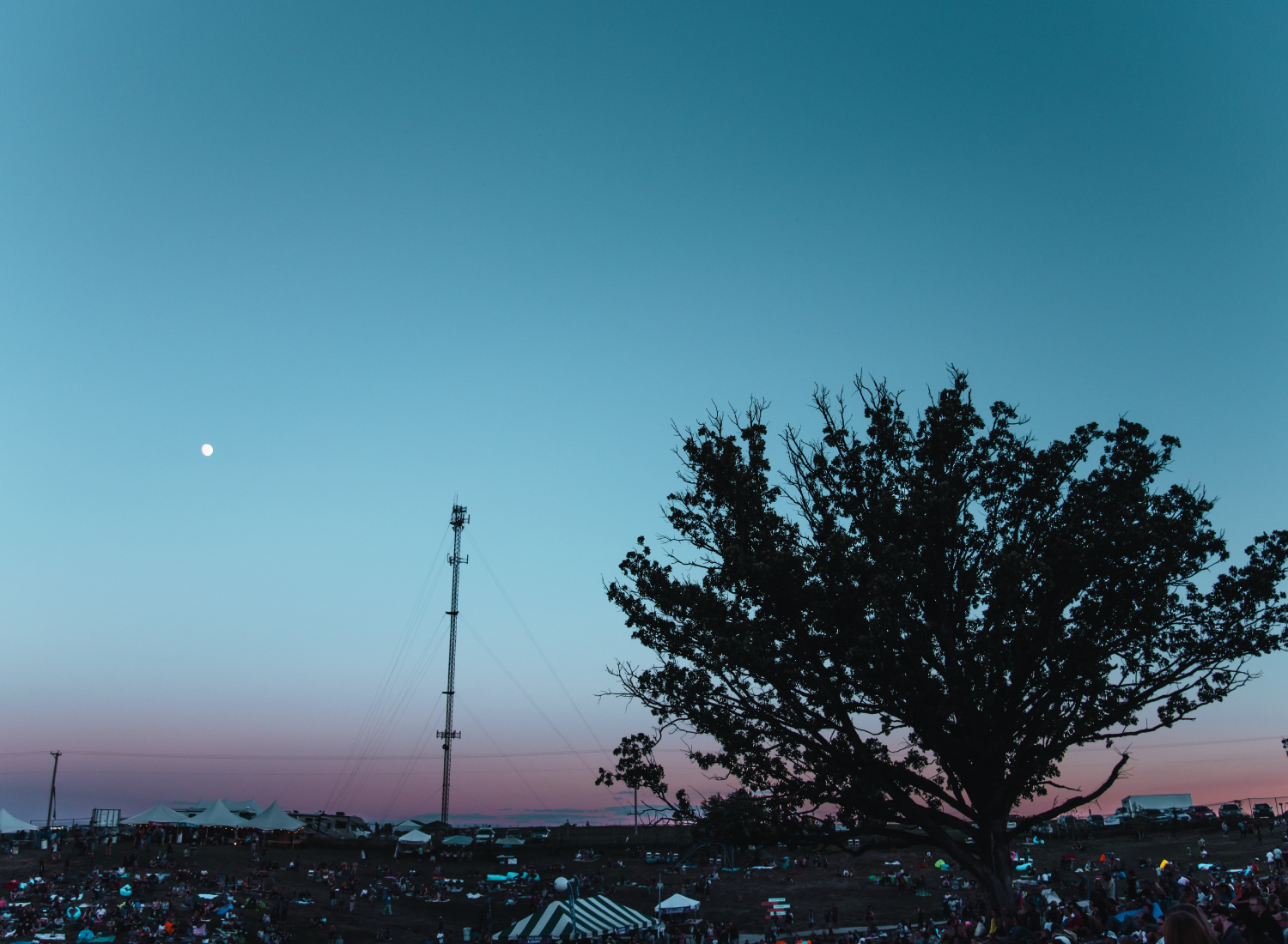 Photo by Megan Moorlach