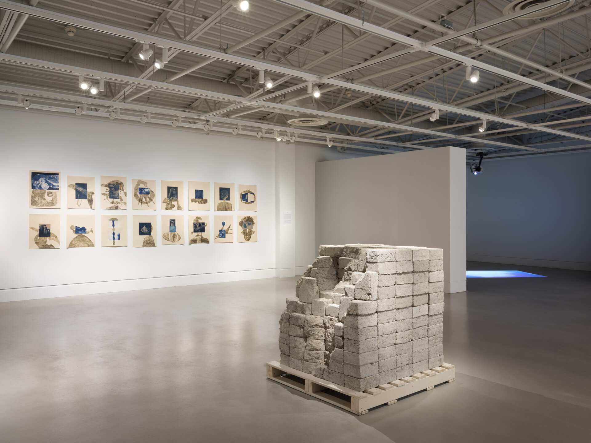 Holly Schmidt, Amalgamation, installation view of Mantle, Art Gallery at Evergreen, 2019. Photo Rachel Topham Photography.jpg