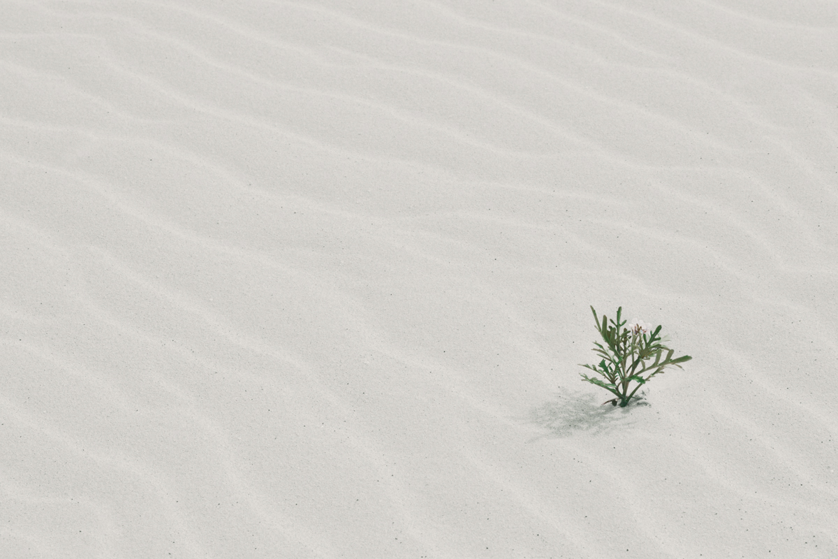 sand2.jpg