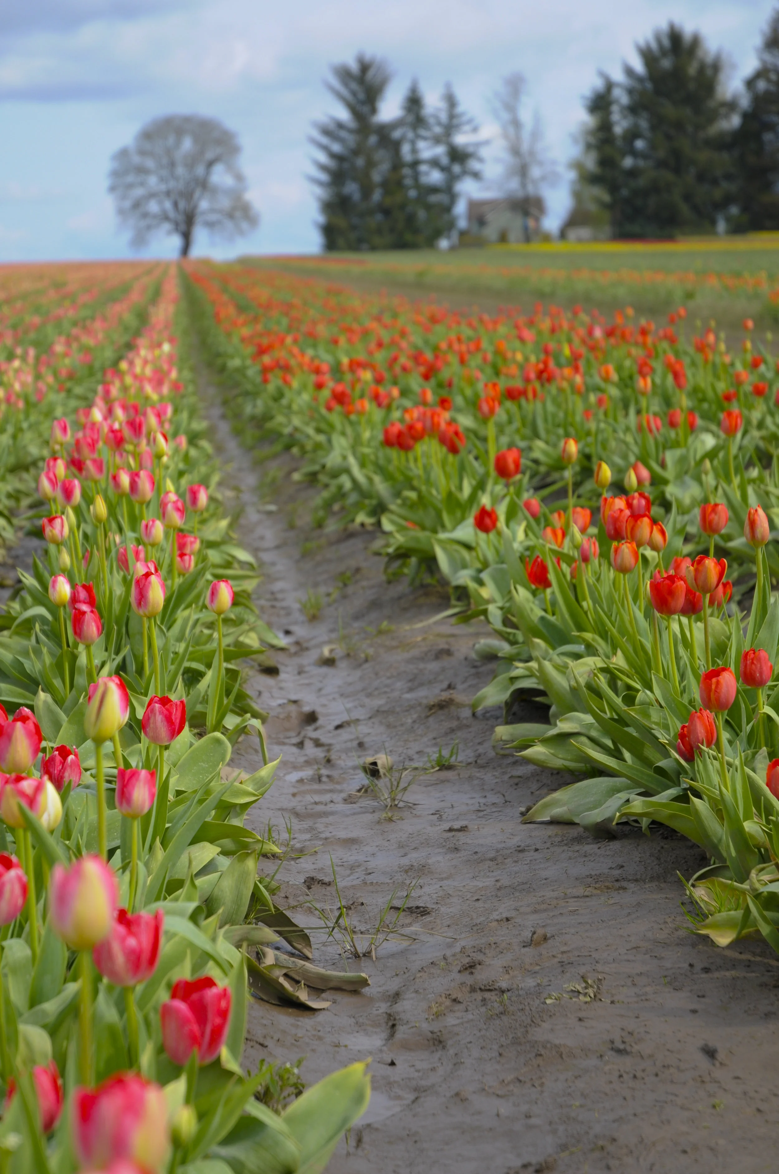 personal photography