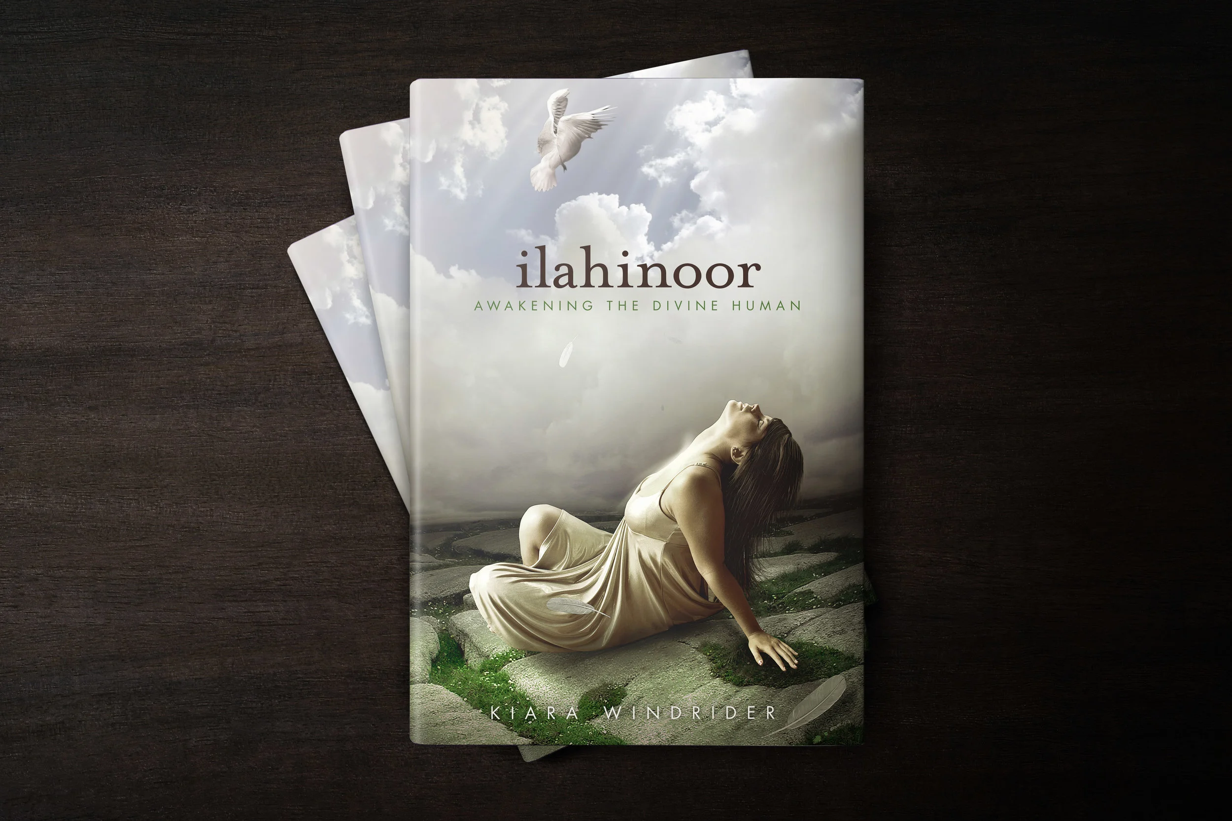 Johnny-Ink-Divine-Arts-Ilahinoor.jpg