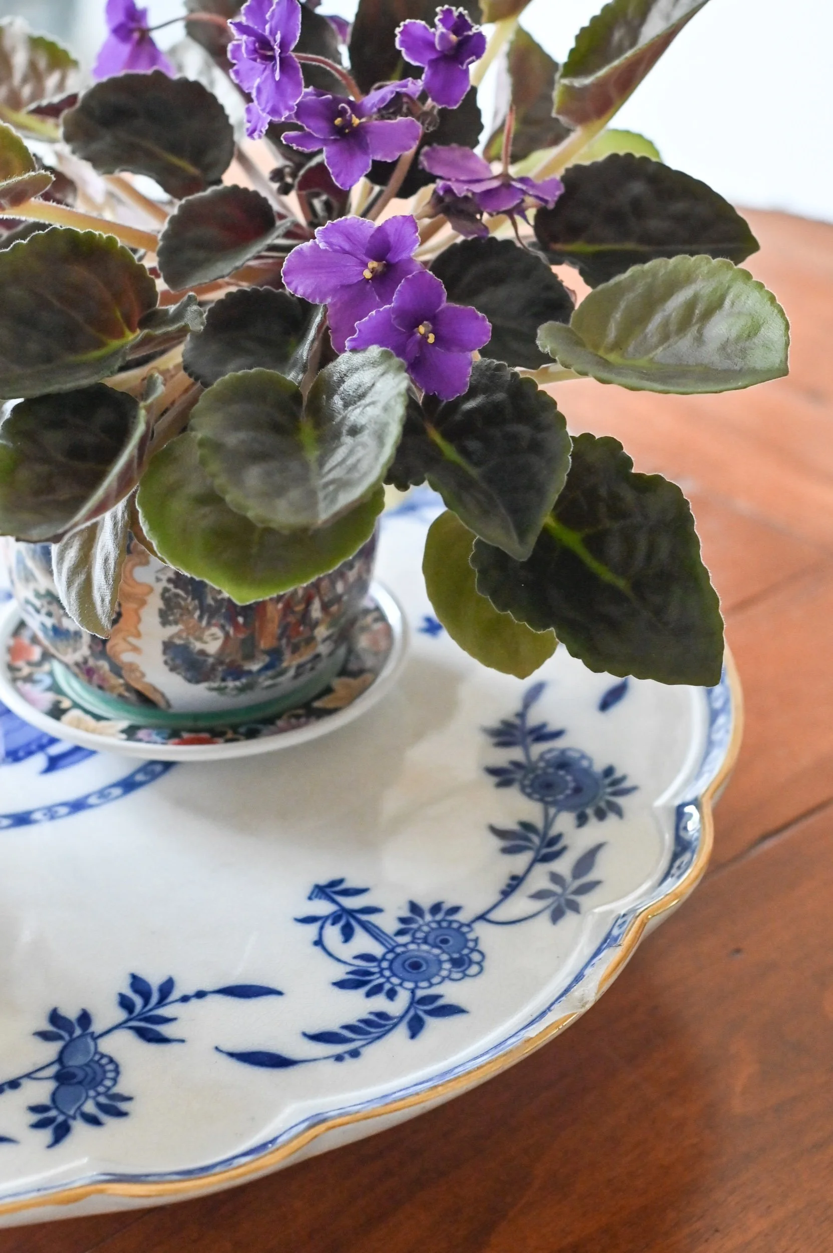 Timeless design tips to bring your home to life