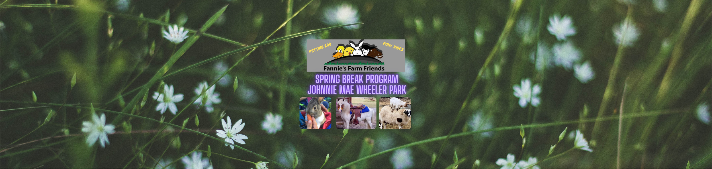 Spring Break Program - Petting Zoo and Pony Rides