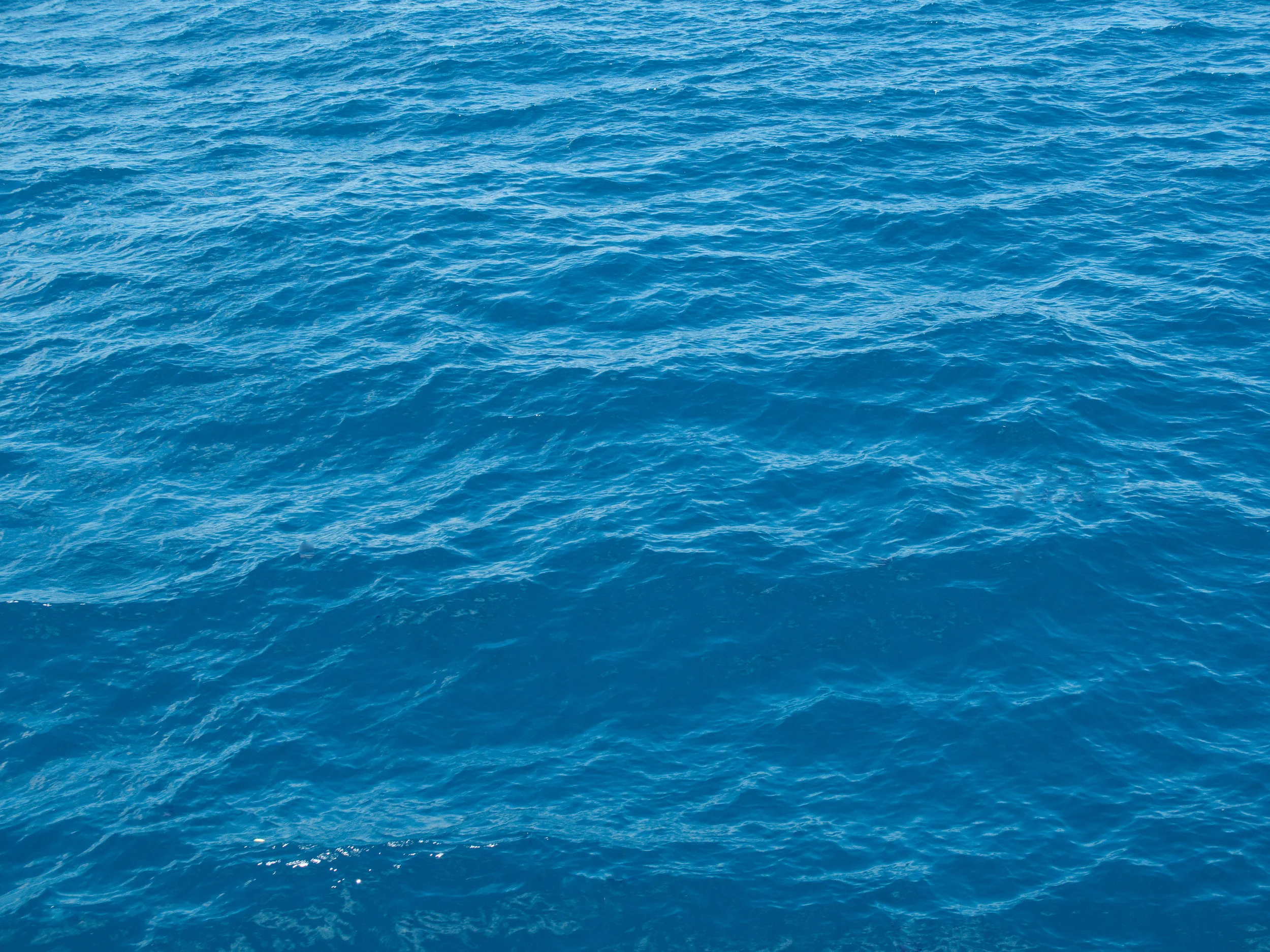 Blue_water,_Lake_Tahoe.jpg