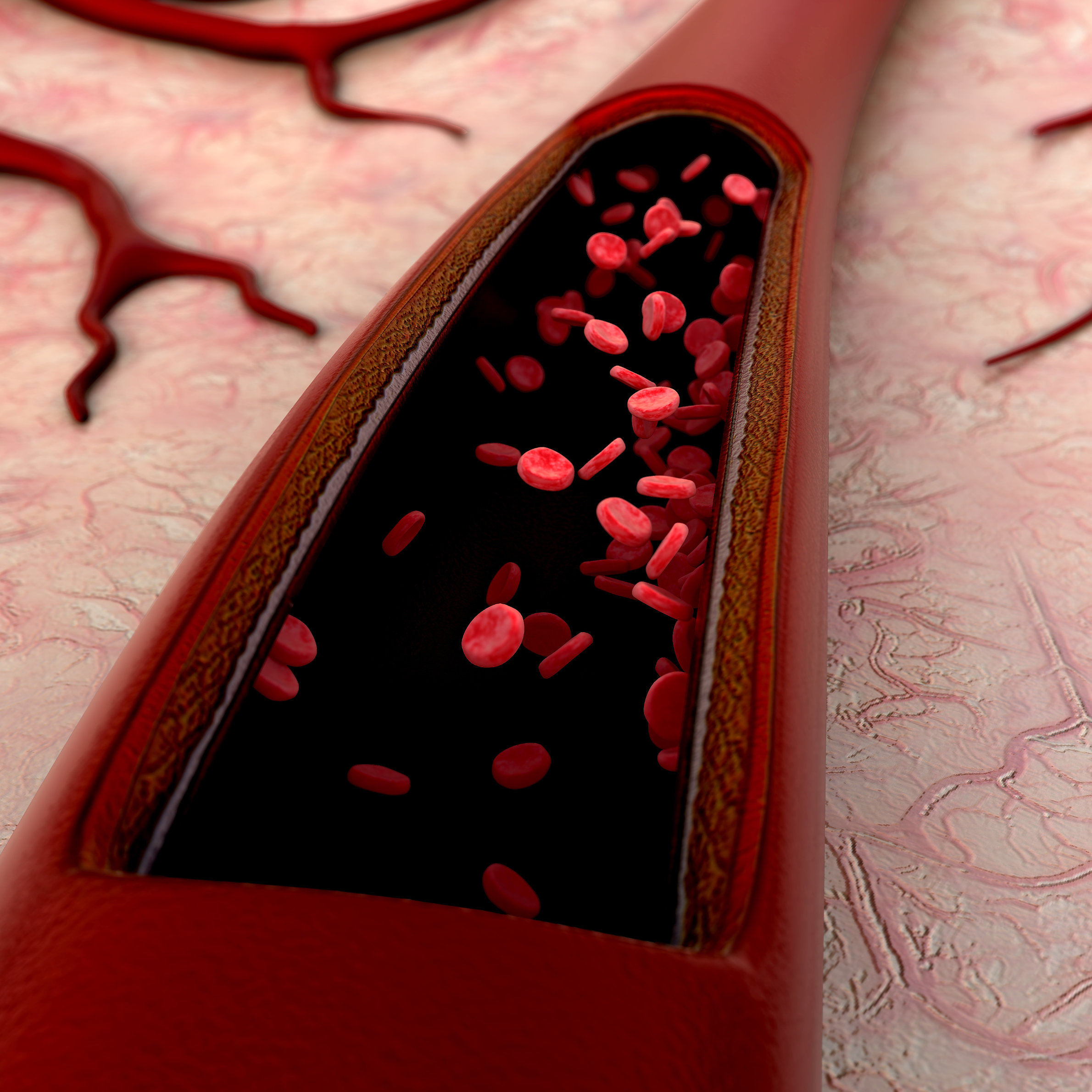 A digital illustration of a cross-section of a blood vessel, showing red blood cells flowing inside with a textured background of surrounding tissue and branching blood vessels.
