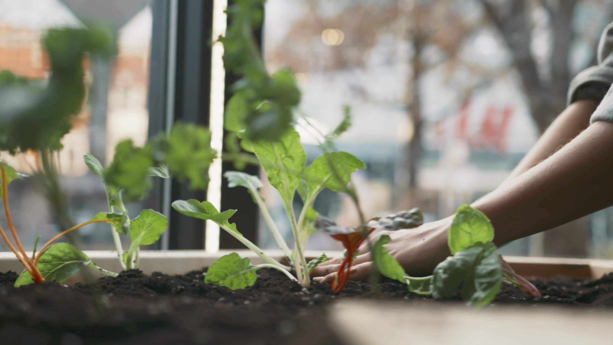 Screen Shot 2021-02-01 at 10.22.32 PM.png