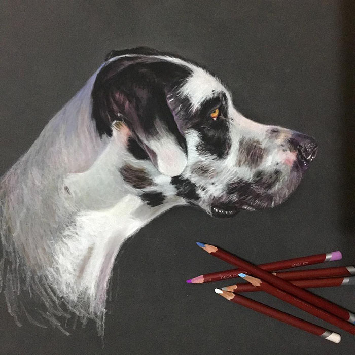 Zeus