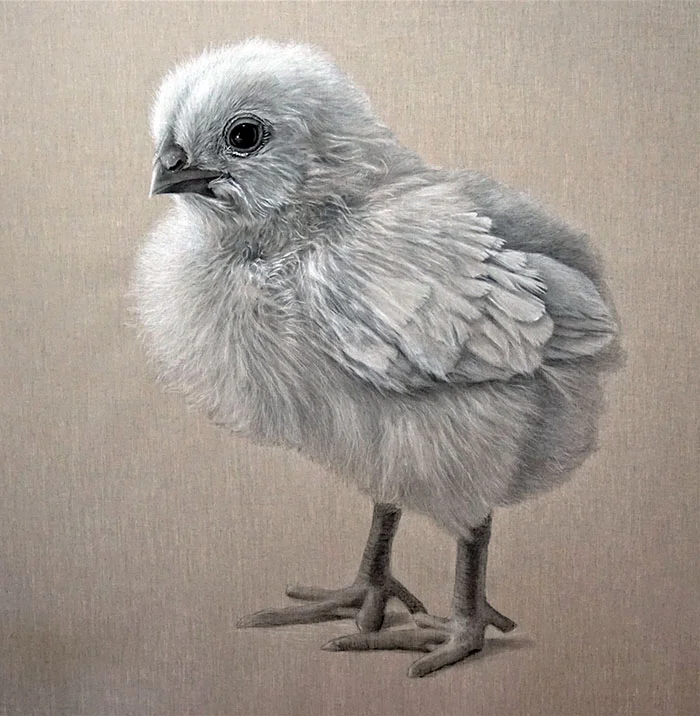 I Am Not A Nugget