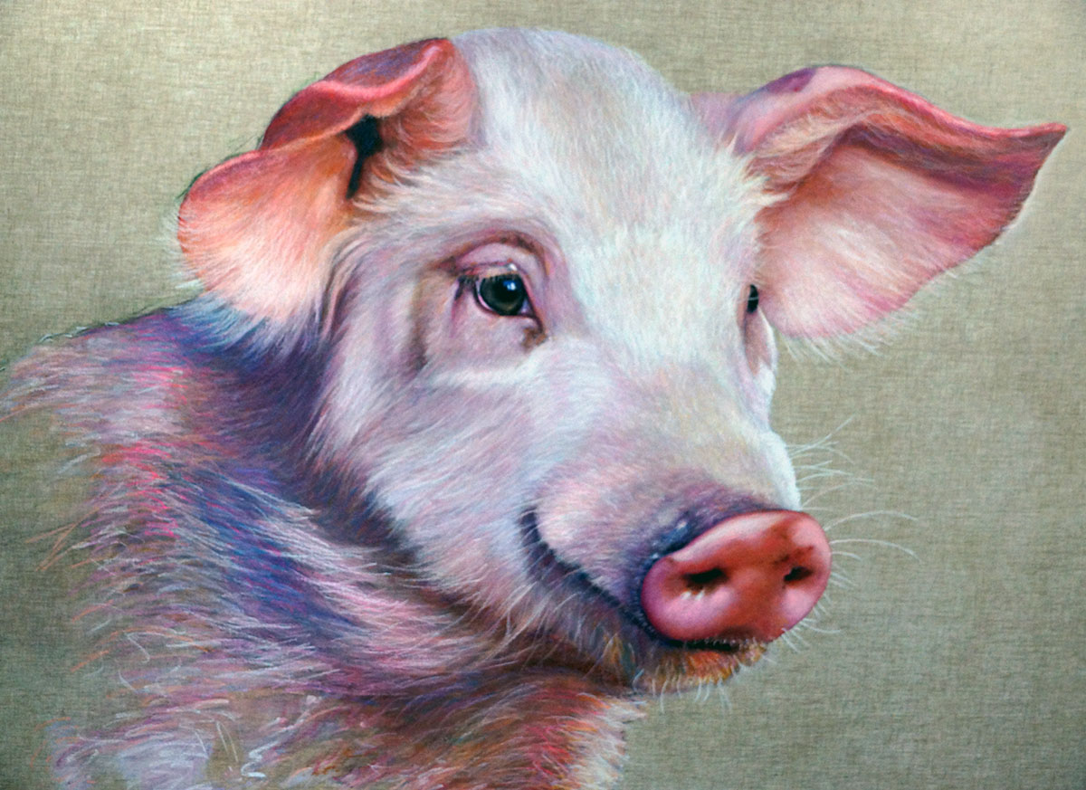 Looking Towards a Compassionate world