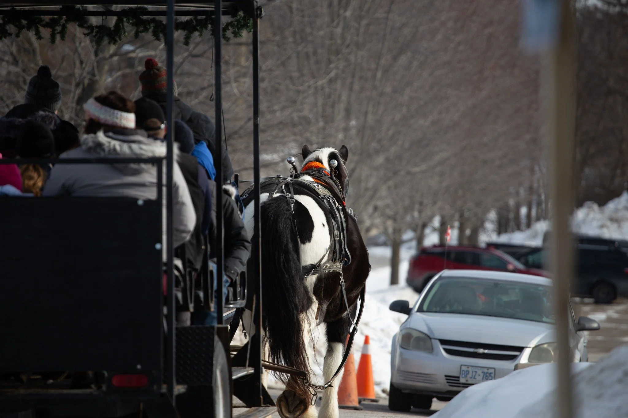 What an incredible day at Family Day Festival this past Monday! We're so grateful for each person who attended, volunteered, and donated!