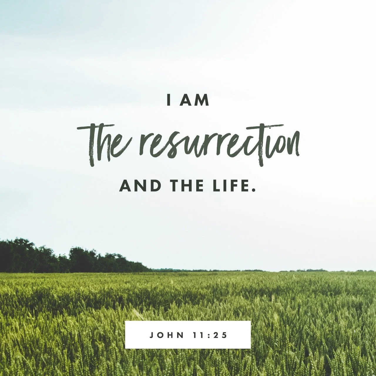 He is Risen!