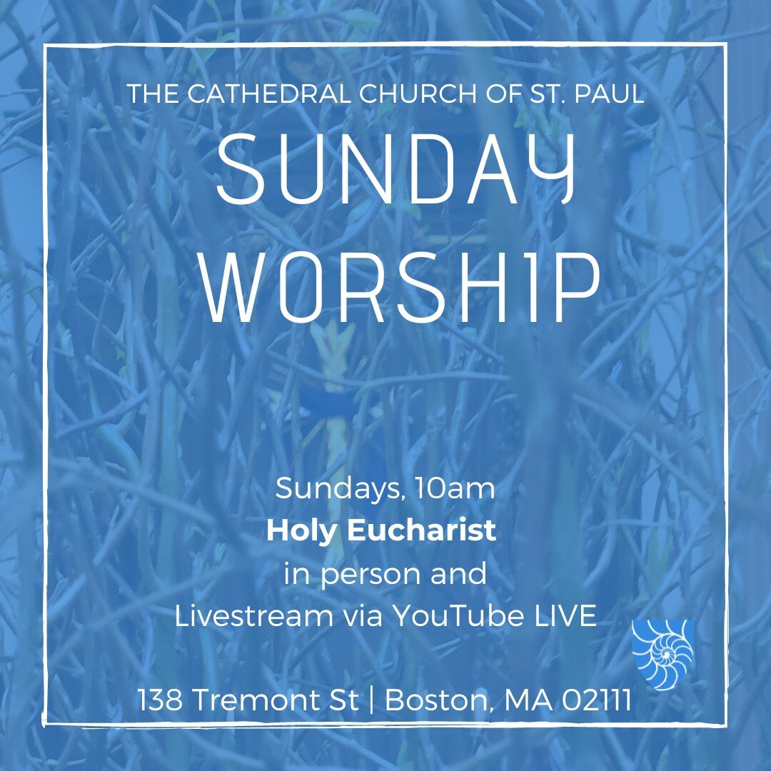 We welcome you to worship with us Sunday mornings at 10am!
Holy Eucharist in the sanctuary and livestream via YouTube Live https://www.stpaulboston.org/

#stpaulscathedral #cathedral #cathedralofboston #TheCathedralChurchofStPaul #houseofprayerforall