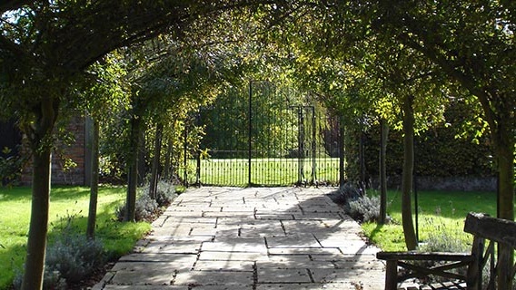 banner6.jpg