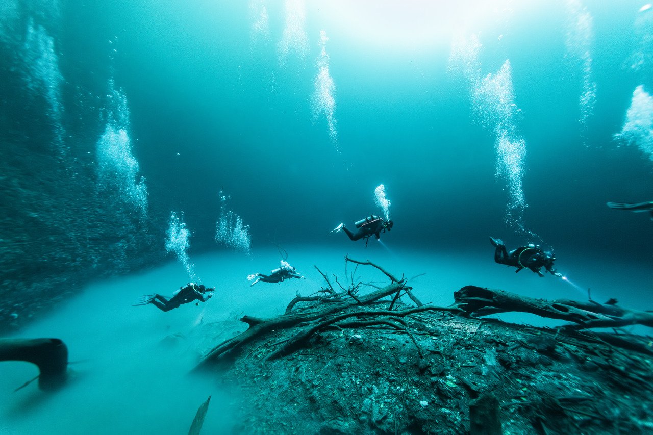 Four scuba divers swimming underwater near a submerged log with bubbles rising to the surface.
