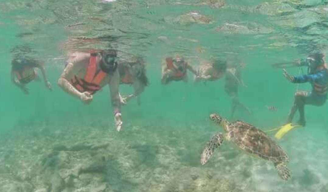 Group of people snorkeling underwater with a sea turtle.