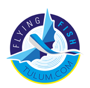 Cenote Diving Tulum-Padi Scuba Diving Shop Tulum - 
