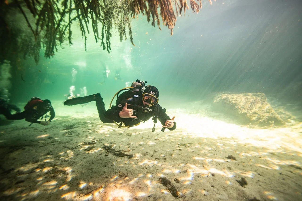 Diving beneath the mangrove roots at casa cenote