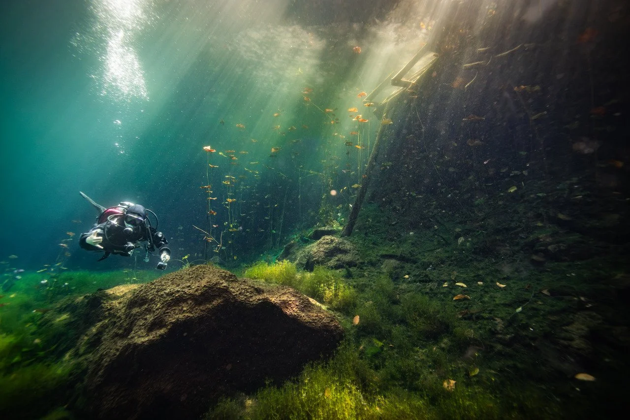 A scuba diver swimming underwater near rocks and aquatic plants, sunlight filtering through the water surface.