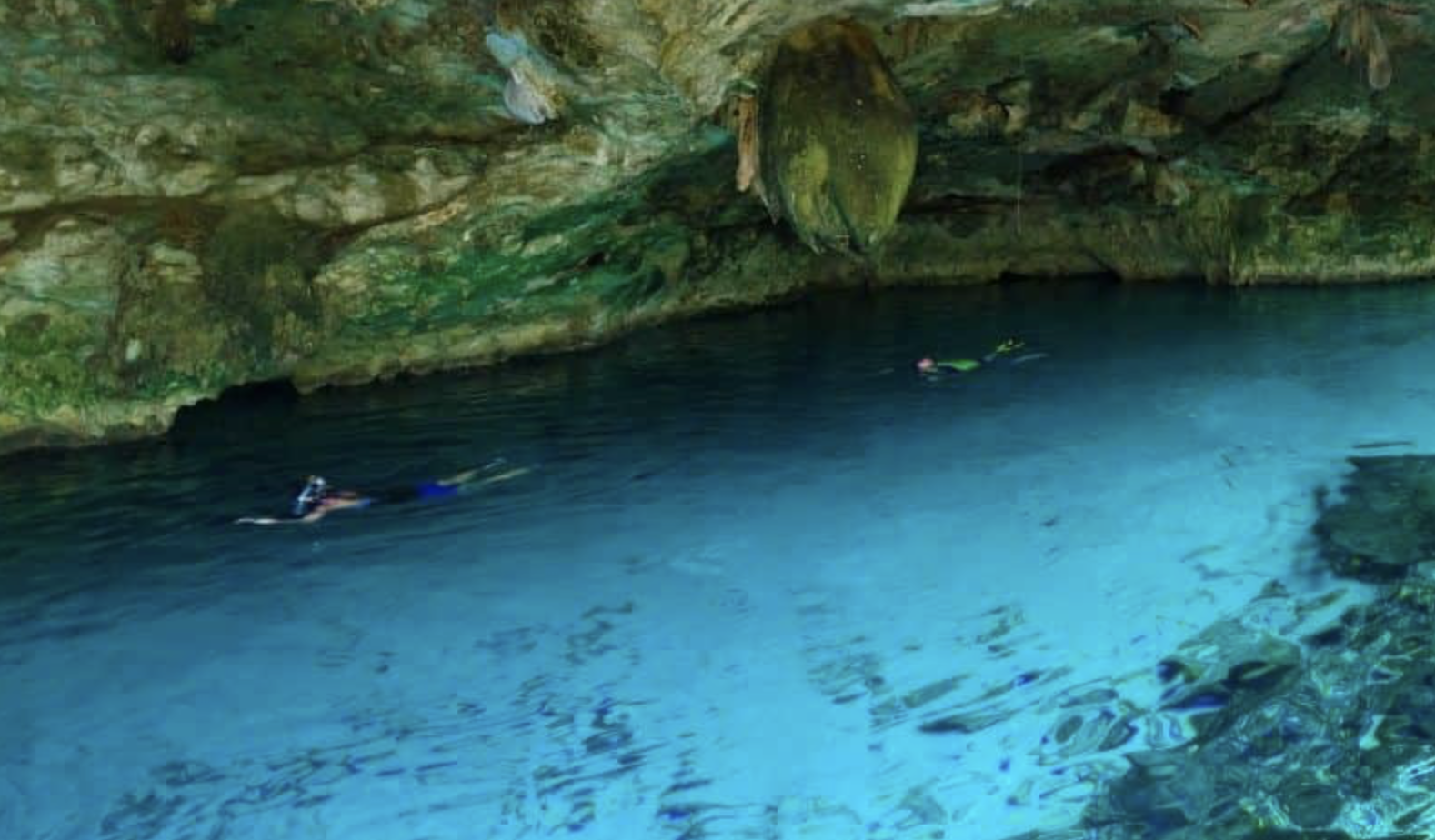 An underwater photograph of a person snorkeling, wearing yellow and black snorkeling gear, a black wetsuit, and fins. The water is clear with colors reflecting from the surface.