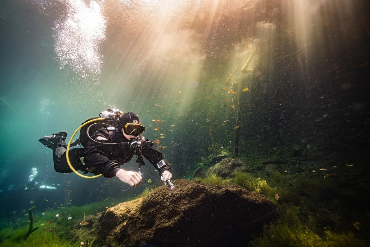 scuba diver at car wash cenote with underwater lilies illuminated by the sunlight